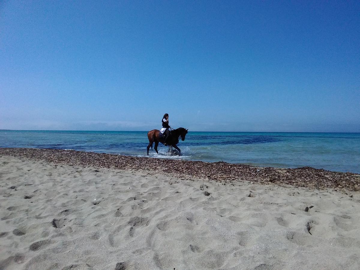 Villa Blanche Dimora Di Charme Marsala Bagian luar foto